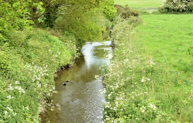 The Enler River Dundonald Comber May Albert Bridge Cc By Sa