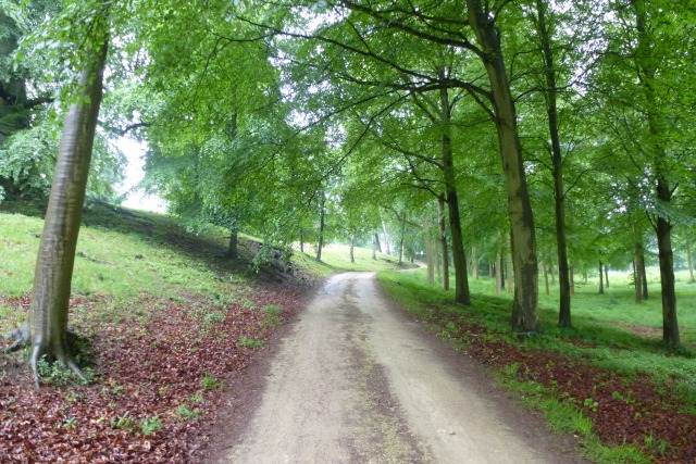 Path In Bramham Park Ds Pugh Geograph Britain And Ireland