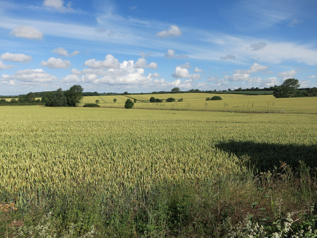 Arable Land By Shudy Camps Hugh Venables Geograph Britain And Ireland