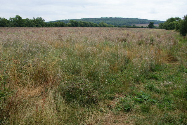 Fallow Field Near Cassington Mill Bill Boaden Geograph Britain And