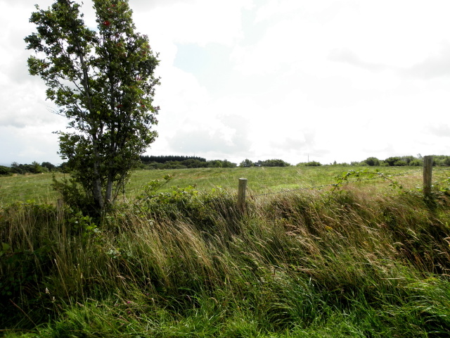 Corlea Townland Kenneth Allen Cc By Sa Geograph Ireland