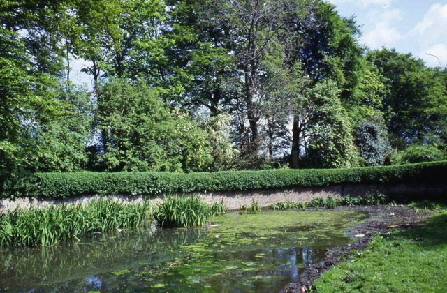 Ivy Lane Hedon Yorkshire Bernard Sharp Geograph Britain And Ireland