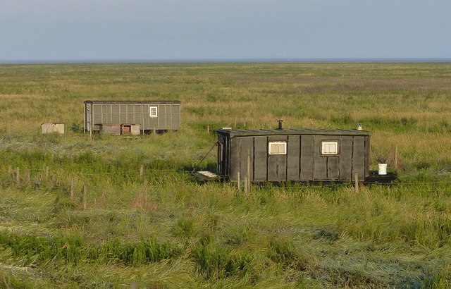 Two House Boats On The Salt Marsh Mat Fascione Cc By Sa