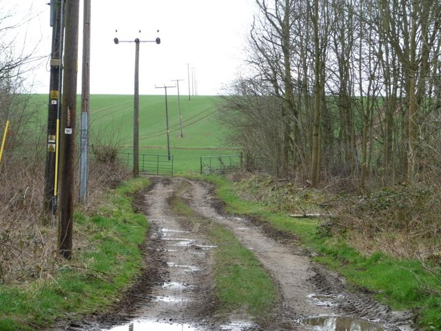 Power Lines Climbing A Hillside Christine Johnstone Geograph