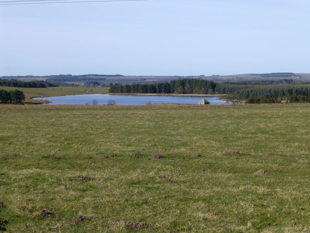 Mole Hills In The Pasture Russel Wills Geograph Britain And Ireland