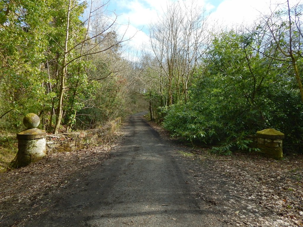 Stone Bridge In Kilmahew Estate Lairich Rig Geograph Britain And