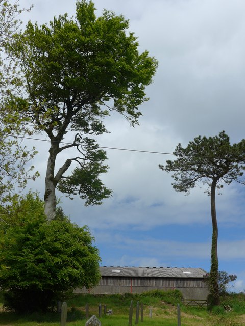 Holy Trinity Challacombe Churchyard Basher Eyre Geograph