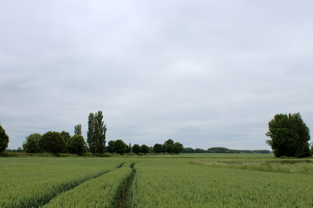 Field Beside Great Givendale Chris Heaton Cc By Sa Geograph