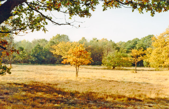 Wimbledon Common