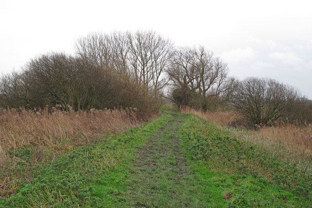 Wherryman S Way Along The Yare Near Roger Jones Geograph