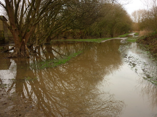 At Teal Hide Pennington Flash Carroll Pierce Geograph Britain And