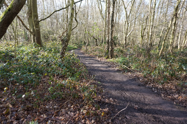 Trans Pennine Trail In Canklow Woods © Ian S :: Geograph Britain And 