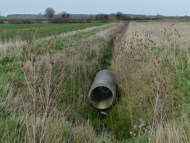 Pipe in a drainage ditch © Mat Fascione cc-by-sa/2.0 :: Geograph