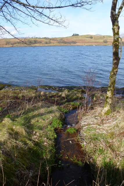 Stream Flowing Into The Sound Of Shuna DS Pugh Cc By Sa 2 0