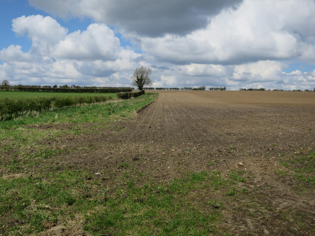 Field Near Hillside © Hugh Venables :: Geograph Britain And Ireland