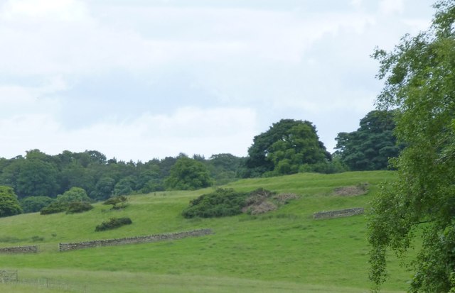 Slate Hill Settlement Earthworks, Bolam