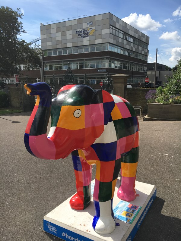 Herd Of Sheffield Elmer Graham Hogg Cc By Sa Geograph Britain