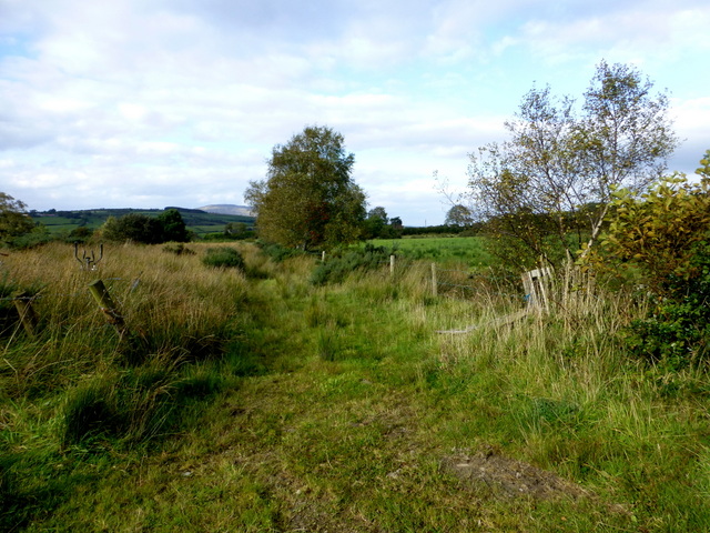 Rough Ground Lisnaharney Kenneth Allen Cc By Sa Geograph Ireland