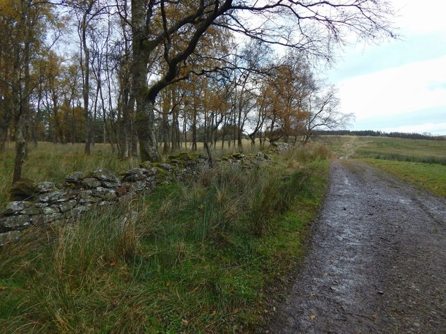 Path From Highdykes Farm Lairich Rig Cc By Sa Geograph Britain