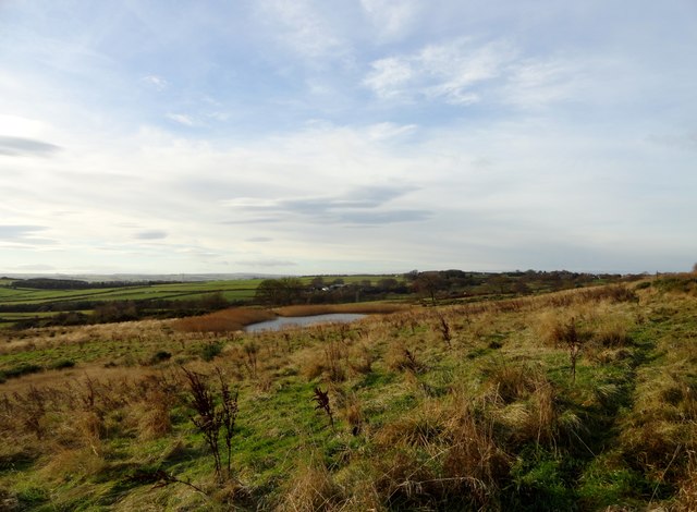 reclaimed-land-robert-graham-cc-by-sa-2-0-geograph-britain-and-ireland