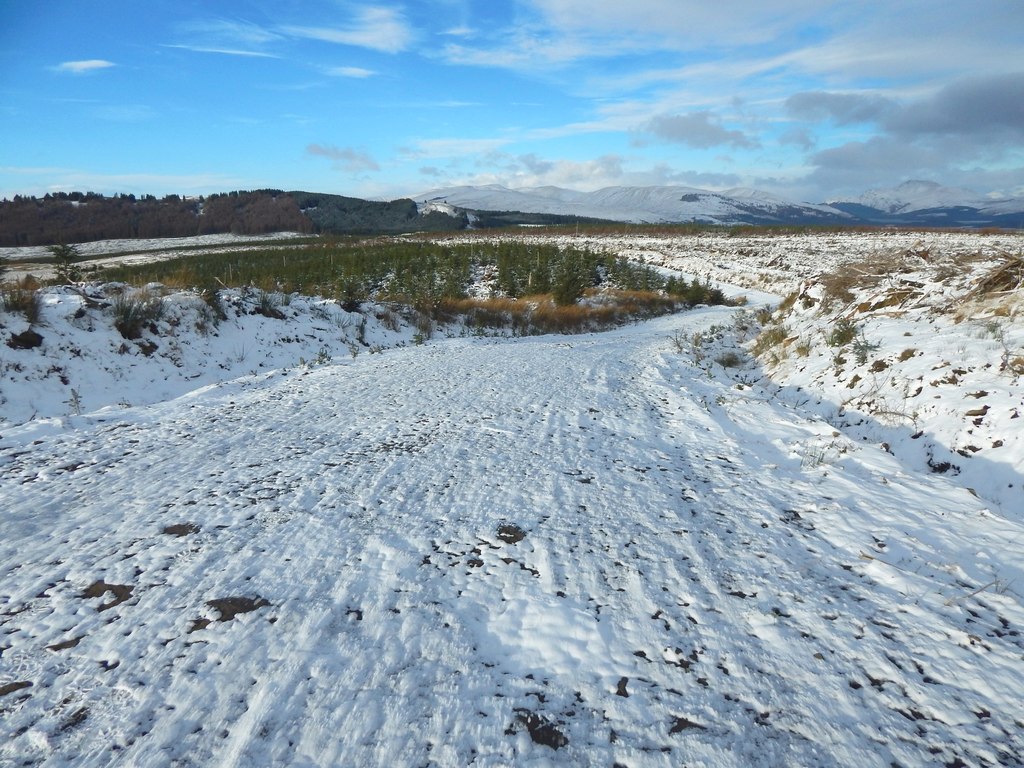 View From The End Of A Forestry Track Lairich Rig Cc By Sa 2 0