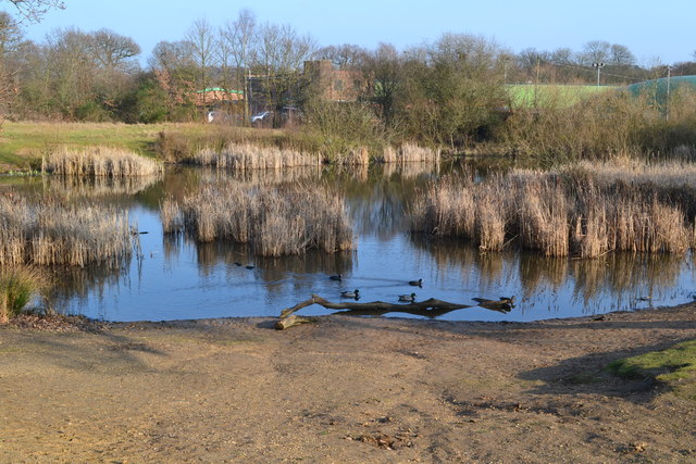 warren dredge ponds