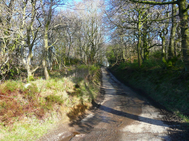 A Walk To Meltham Mills Reservoir 19 Humphrey Bolton Cc By Sa 2