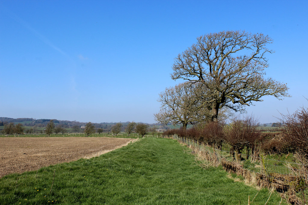 Field Beside Coneygarth Lane Chris Heaton Cc By Sa 2 0 Geograph