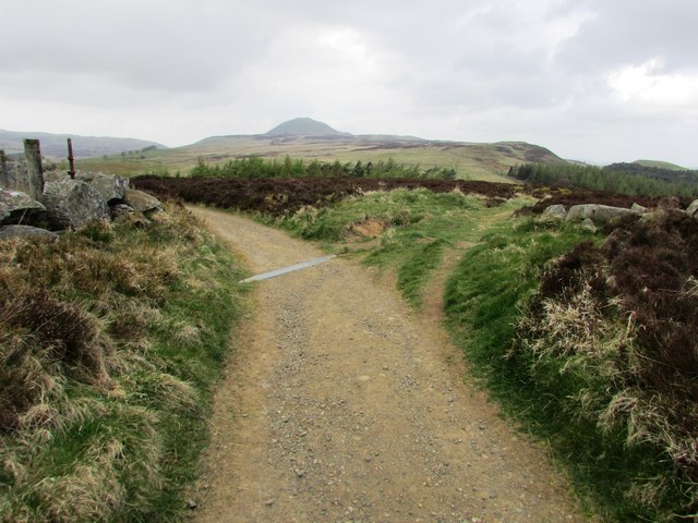 Paths On Lomond Hills Bill Kasman Cc By Sa 2 0 Geograph Britain