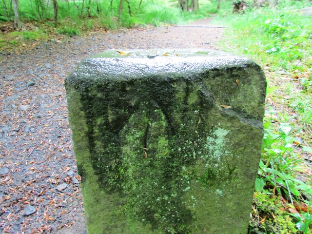 Benchmark Lomond Hills Bill Kasman Cc By Sa Geograph Britain