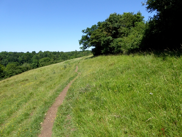 Path On Danks Down Oliver Dixon Cc By Sa Geograph Britain And