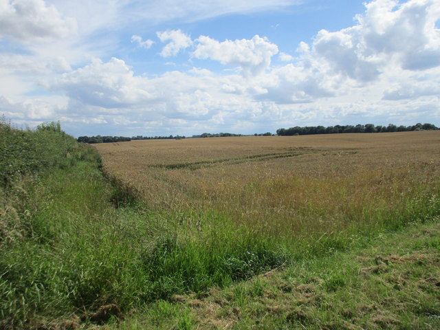 Wheat Field Near Wood End Farm Jonathan Thacker Cc By Sa 2 0