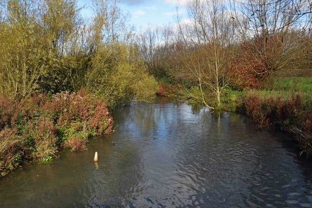 River Windrush, Witney, Oxon © P L Chadwick Cc-by-sa 2.0 :: Geograph 