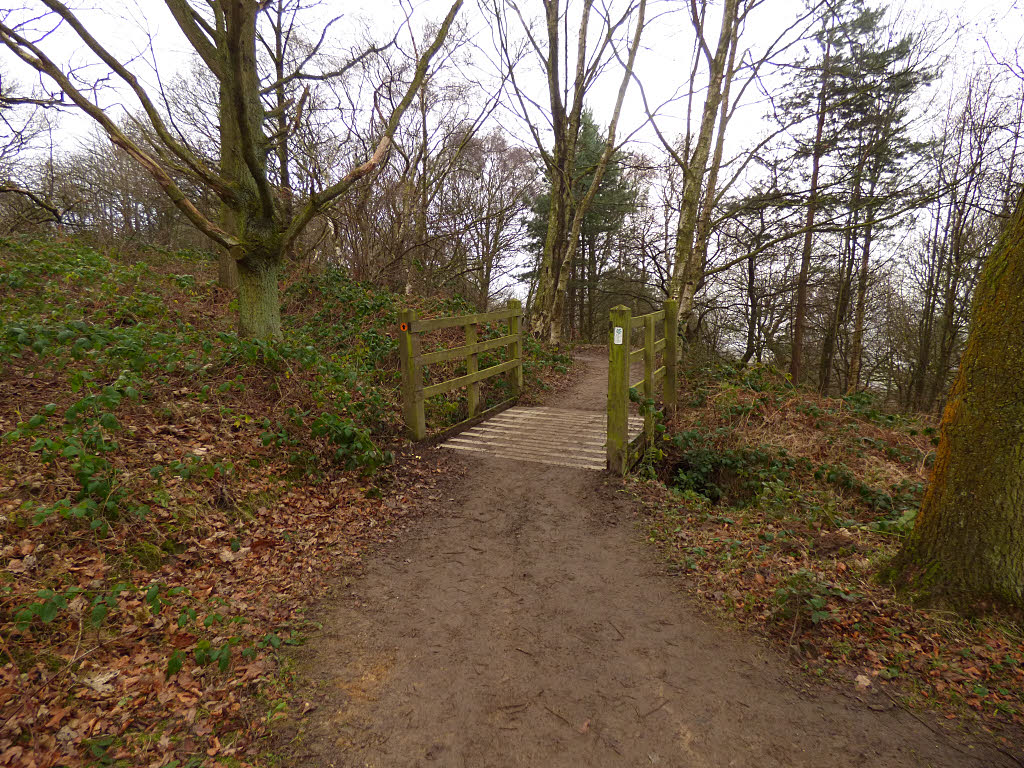 Bridge Over A Stream In Chevin Forest Stephen Craven Geograph