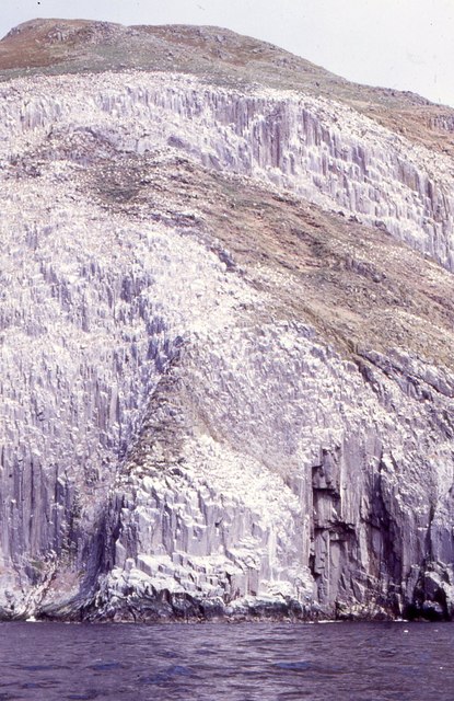 Cliffs Above Stranny Point Ailsa Craig Richard Sutcliffe Cc By Sa