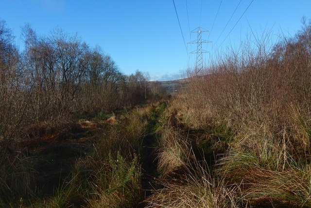 Clear Lane In Barr Wood Lairich Rig Cc By Sa Geograph Britain