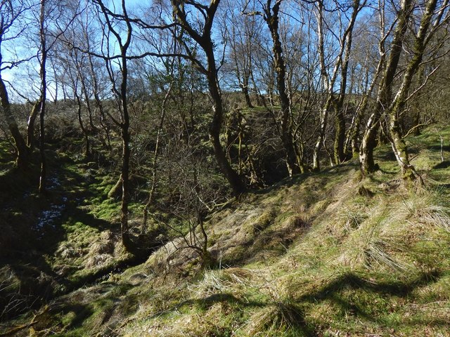 Burn Flowing Through Woodland Lairich Rig Cc By Sa 2 0 Geograph