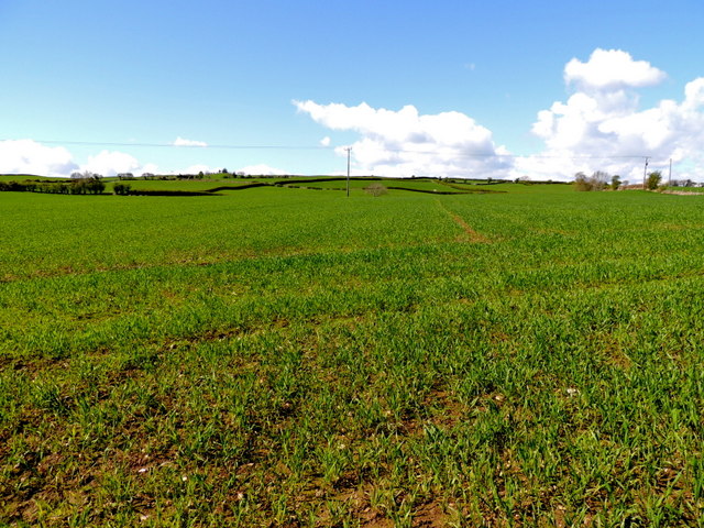 A Large Field Magheracoltan Kenneth Allen Geograph Ireland