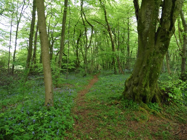 Wye Valley Walk In Black Cliff Wood Roger Cornfoot Geograph