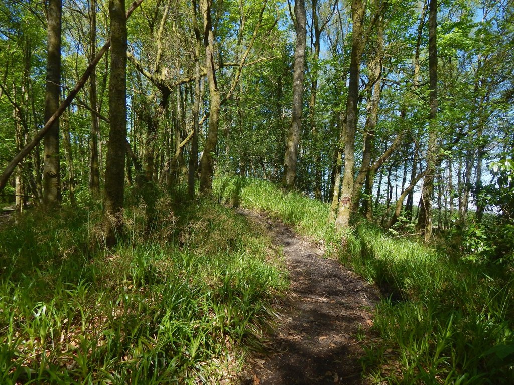 A Path Through The Woods Lairich Rig Geograph Britain And Ireland