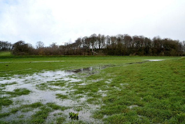 Water Lying In A Field Mountjoy Forest Kenneth Allen Geograph