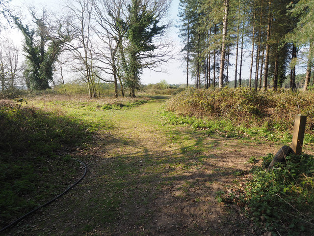 Track Junction David Pashley Cc By Sa 2 0 Geograph Britain And Ireland