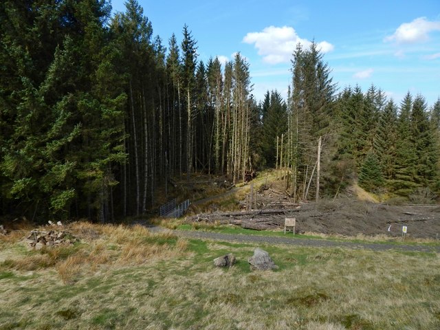 Path Entering The Woods Lairich Rig Cc By Sa 2 0 Geograph Britain