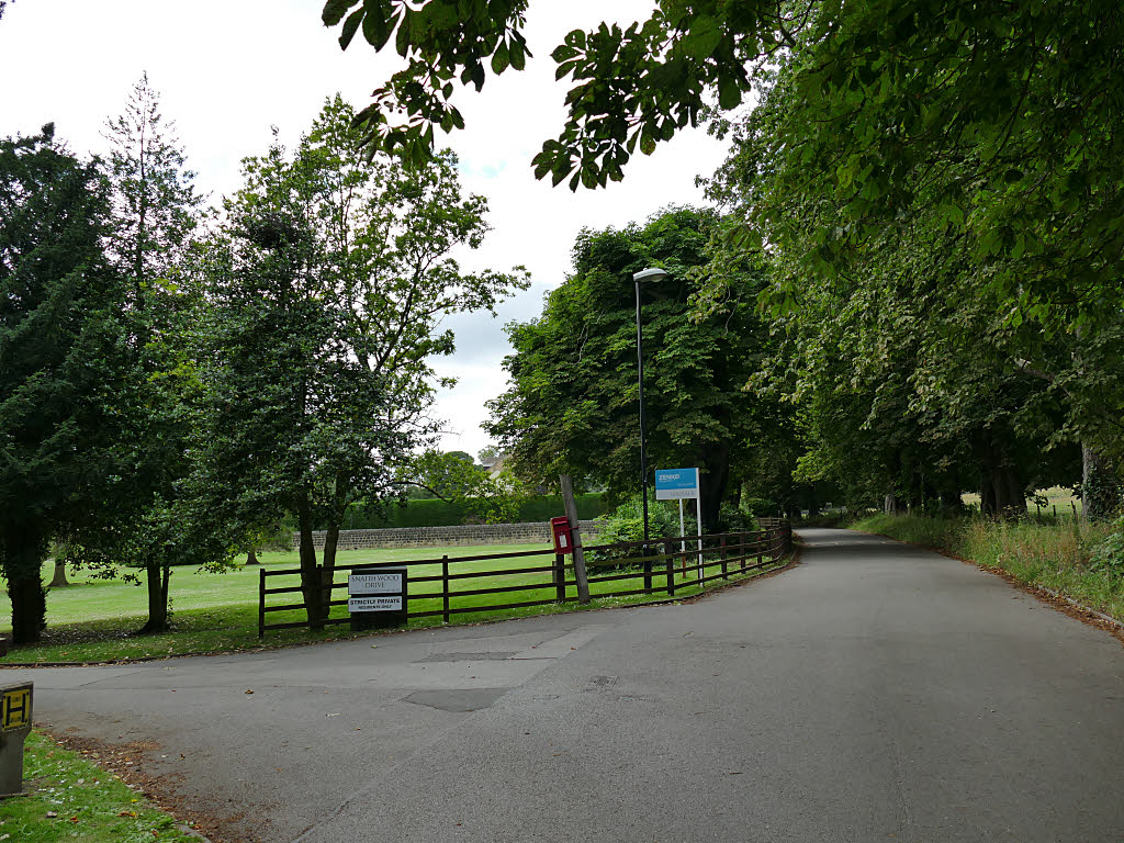 Woodlands Drive Stephen Craven Geograph Britain And Ireland