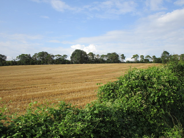 Harvested Field Near Apethorpe Jonathan Thacker Cc By Sa 2 0