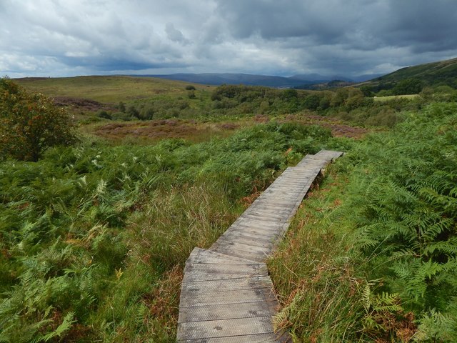 Boardwalk On The Nature Trail Lairich Rig Geograph Britain And Ireland