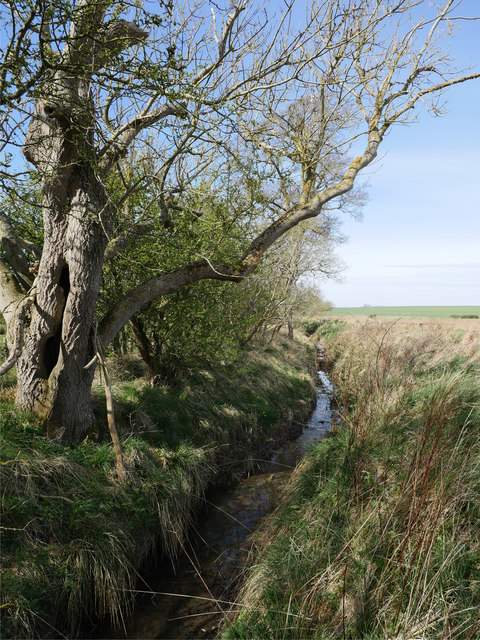 The Horndean Burn Near Ramrig James T M Towill Cc By Sa 2 0