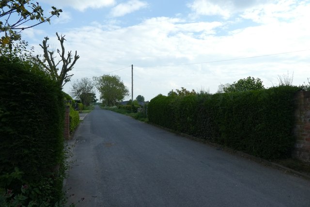 Road From Moor Monkton Ds Pugh Geograph Britain And Ireland