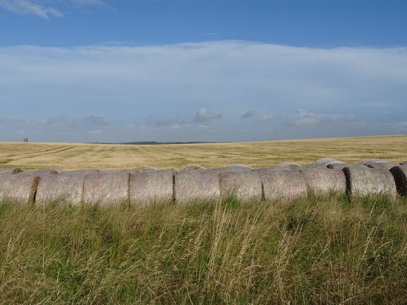 Bales And Cereal Crop Beside The A Jthomas Cc By Sa