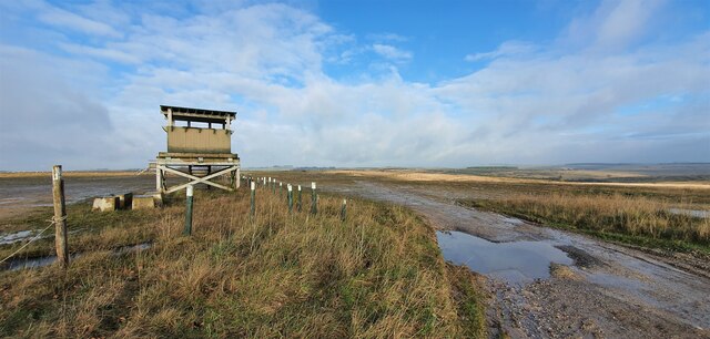 Summer Down Wiltshire Rebecca A Wills Cc By Sa 2 0 Geograph